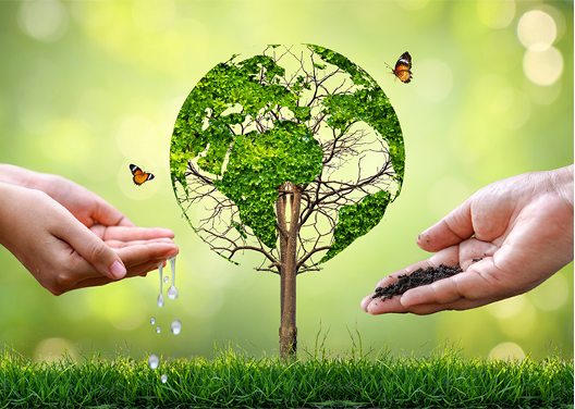 Climate Friendly Refrigerants for Modern Living | Eco Kold